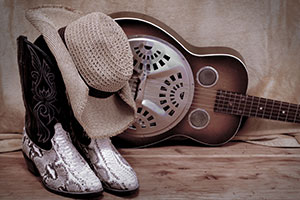 Are You Hillbilly Or Honky-Tonk?