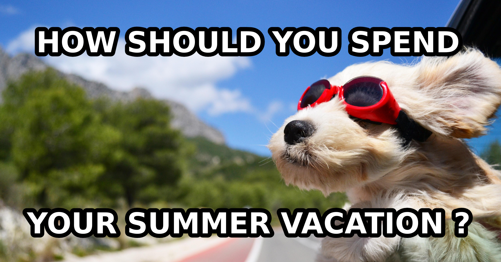 4-ways-to-spend-your-summer-vacation-at-home-wikihow