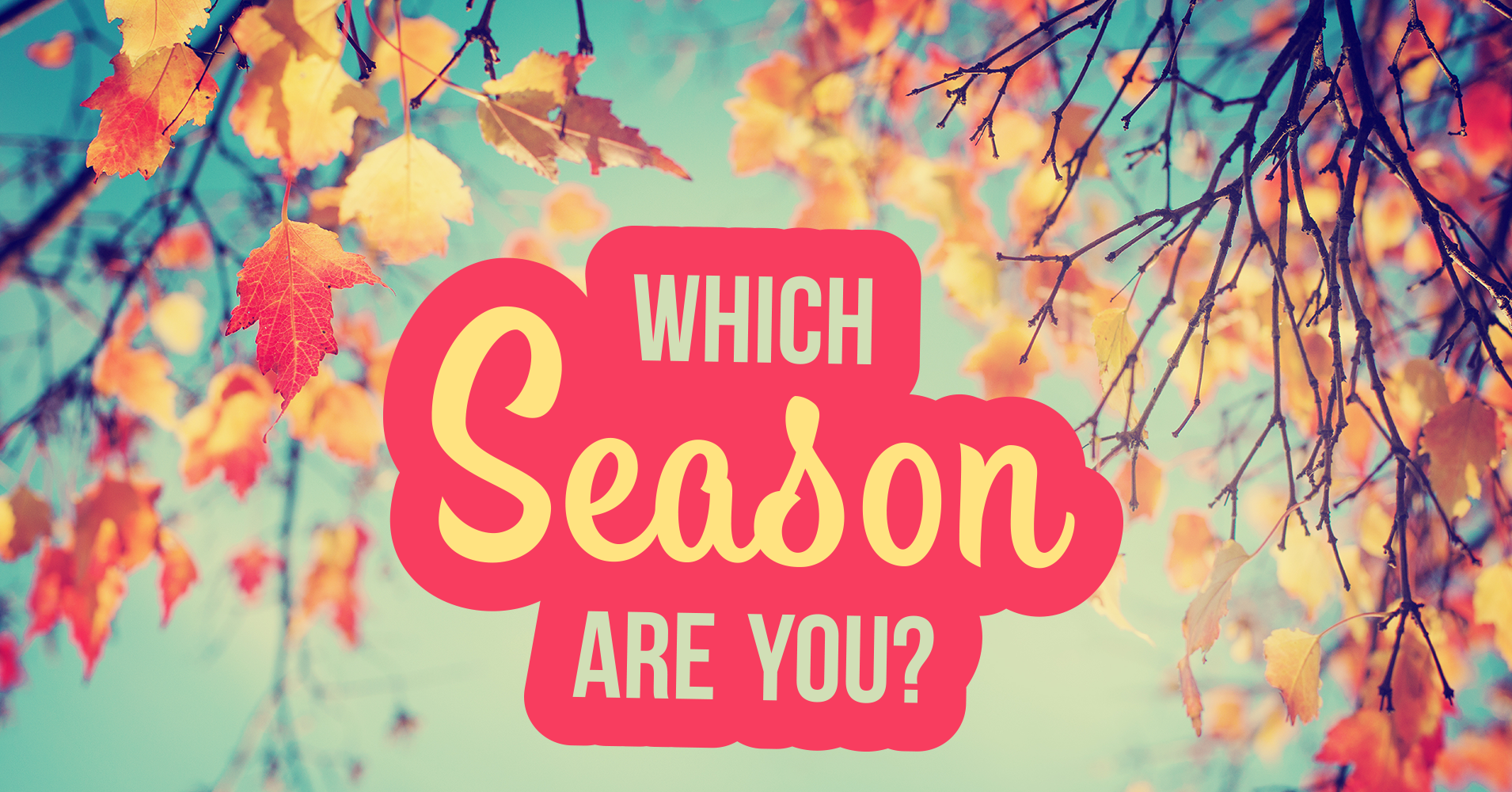 Which Season Are You Quiz Quizony