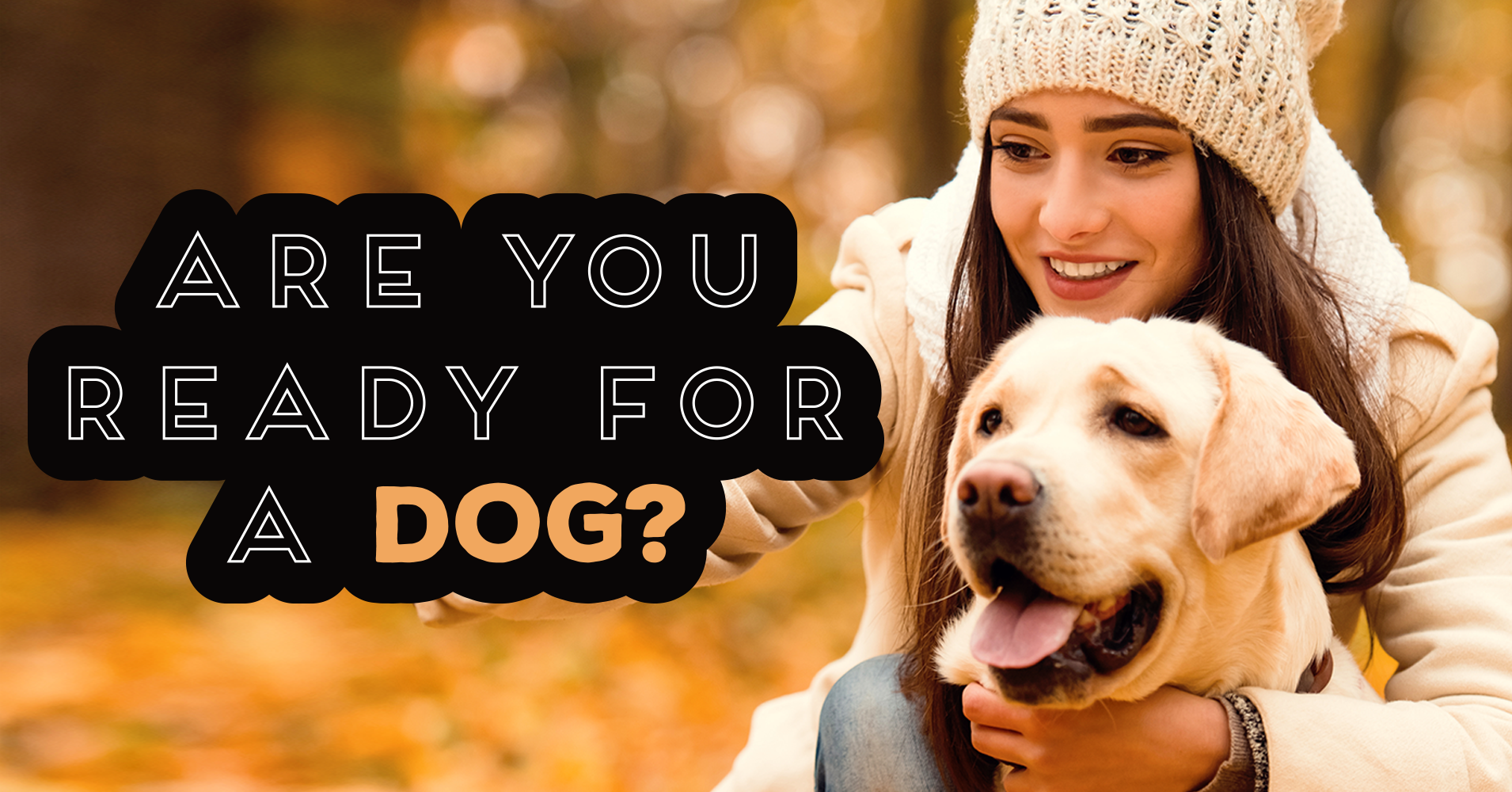 Are You Ready For A Dog Quiz Quizony Com