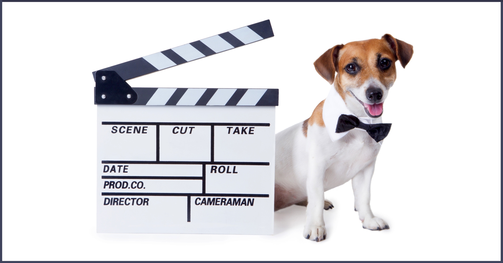 Famous Animal Actors Question 1 - What was Elle Woods' dog's name in ...