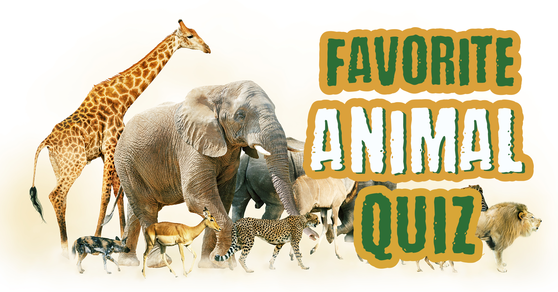 What Are My Favorite Animals