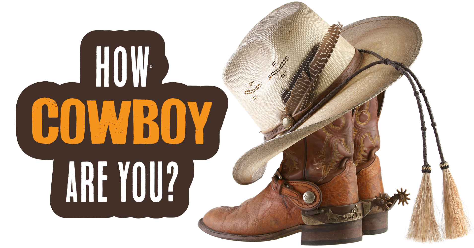 how-cowboy-are-you-quiz