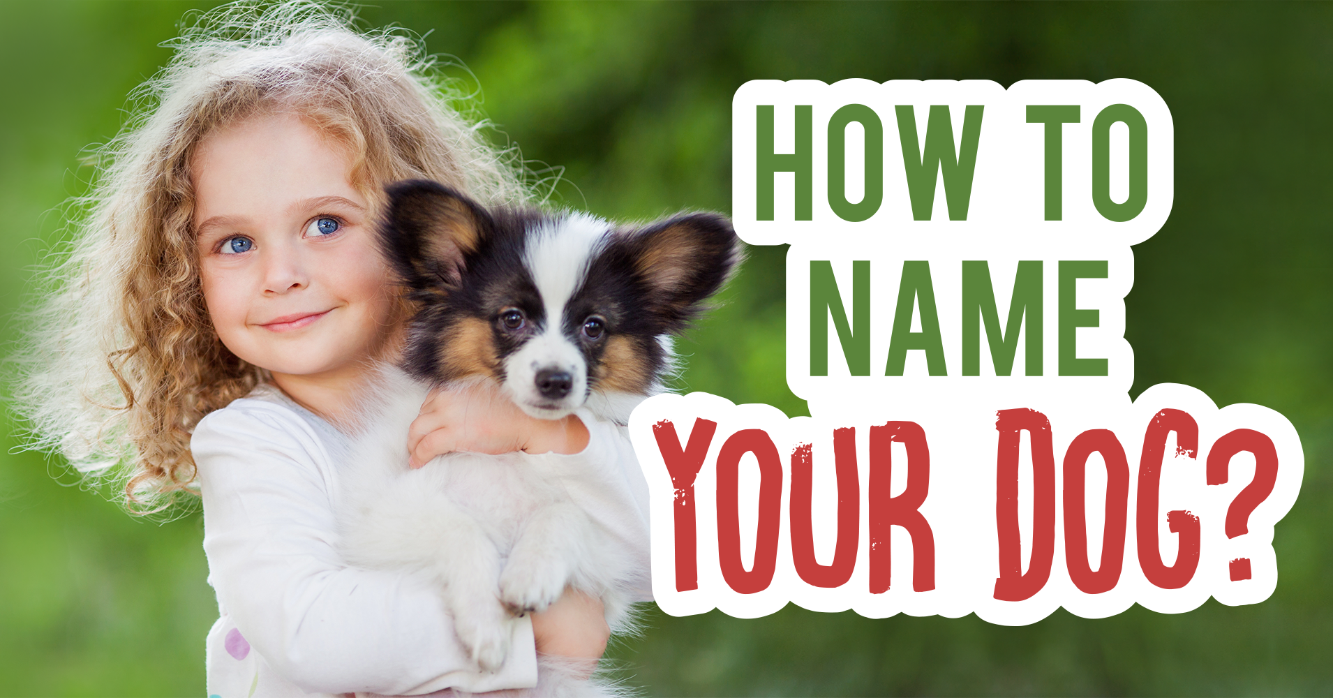 How To Name Your Dog? - Quiz