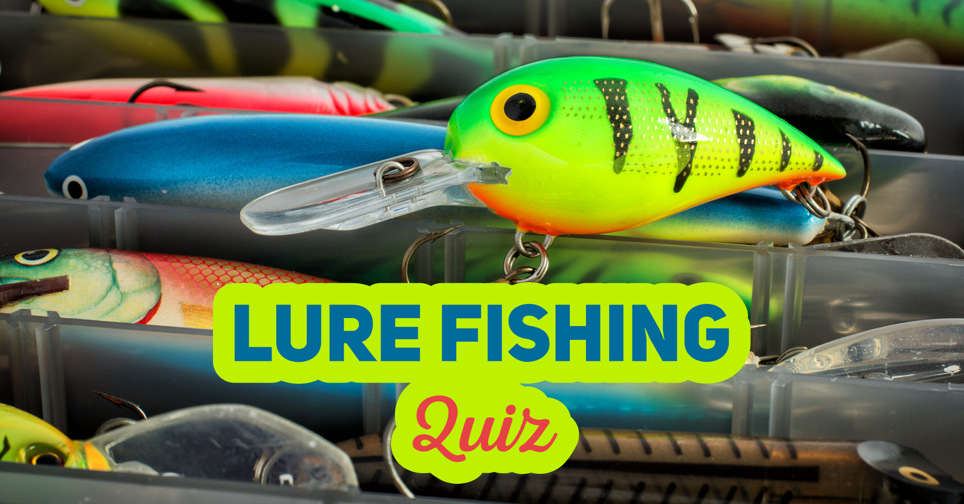 Lure Fishing Quiz Quiz Quizony Com