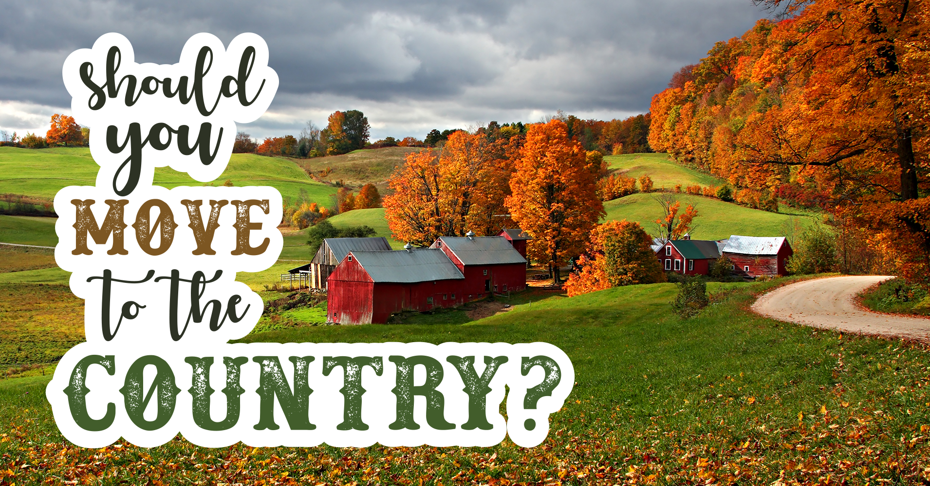 Should You Move To The Country Quiz Quizony Com