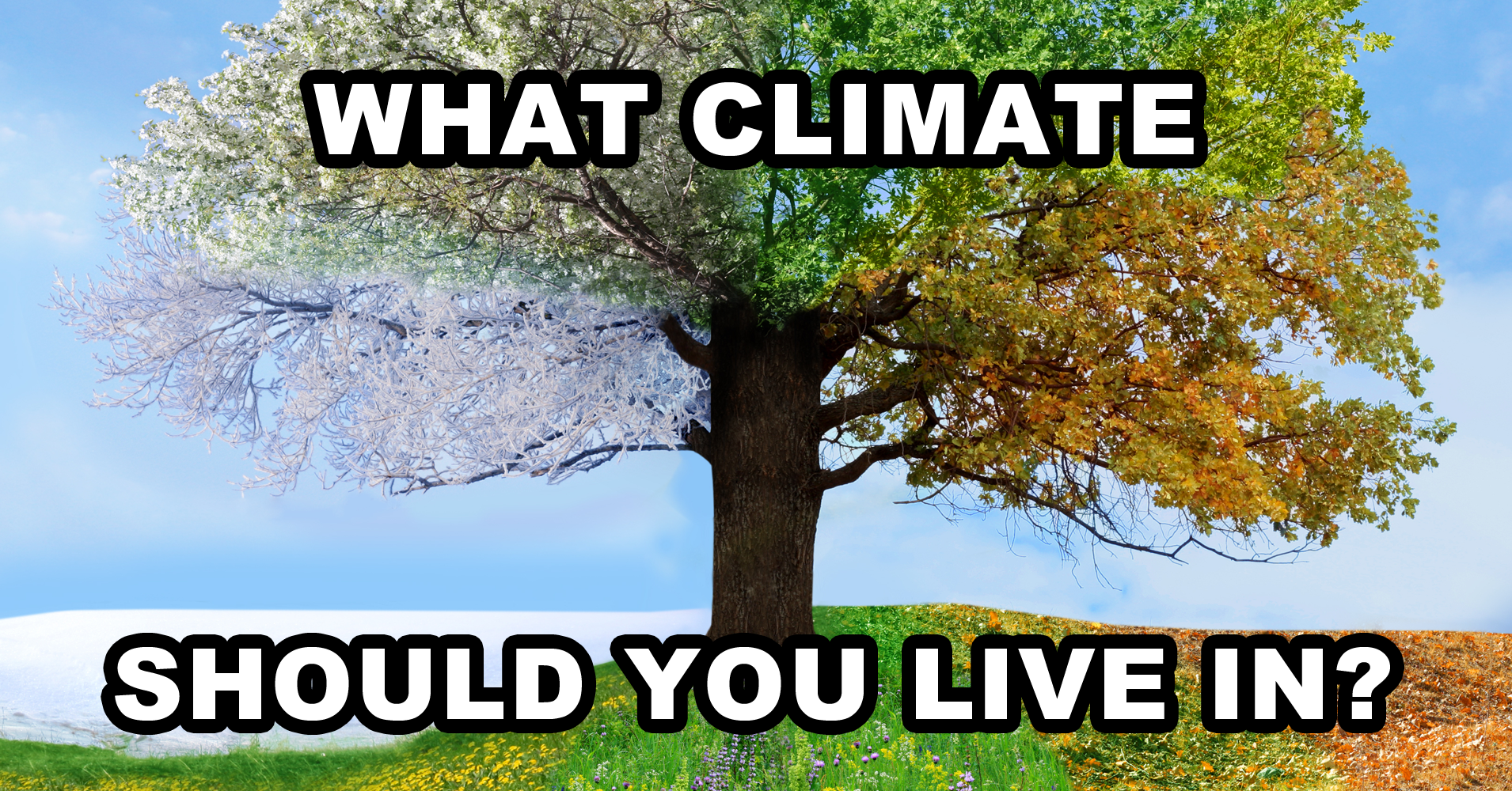 what-climate-should-you-live-in-question-11-pick-the-article-of