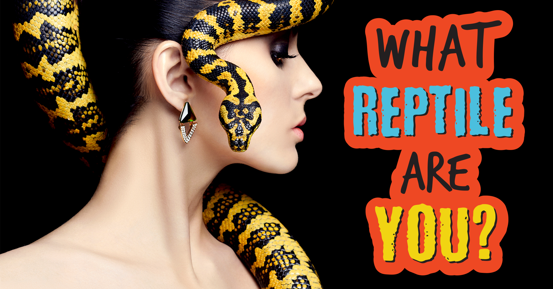 What Reptile Are You? Quiz