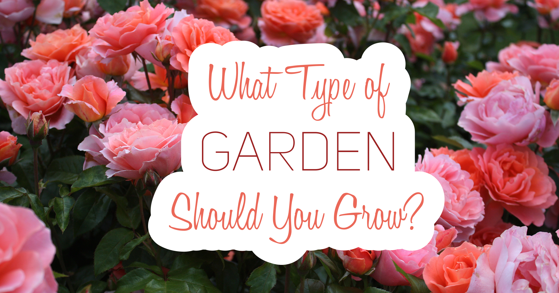 what-type-of-garden-should-you-grow-question-15-if-you-could-choose