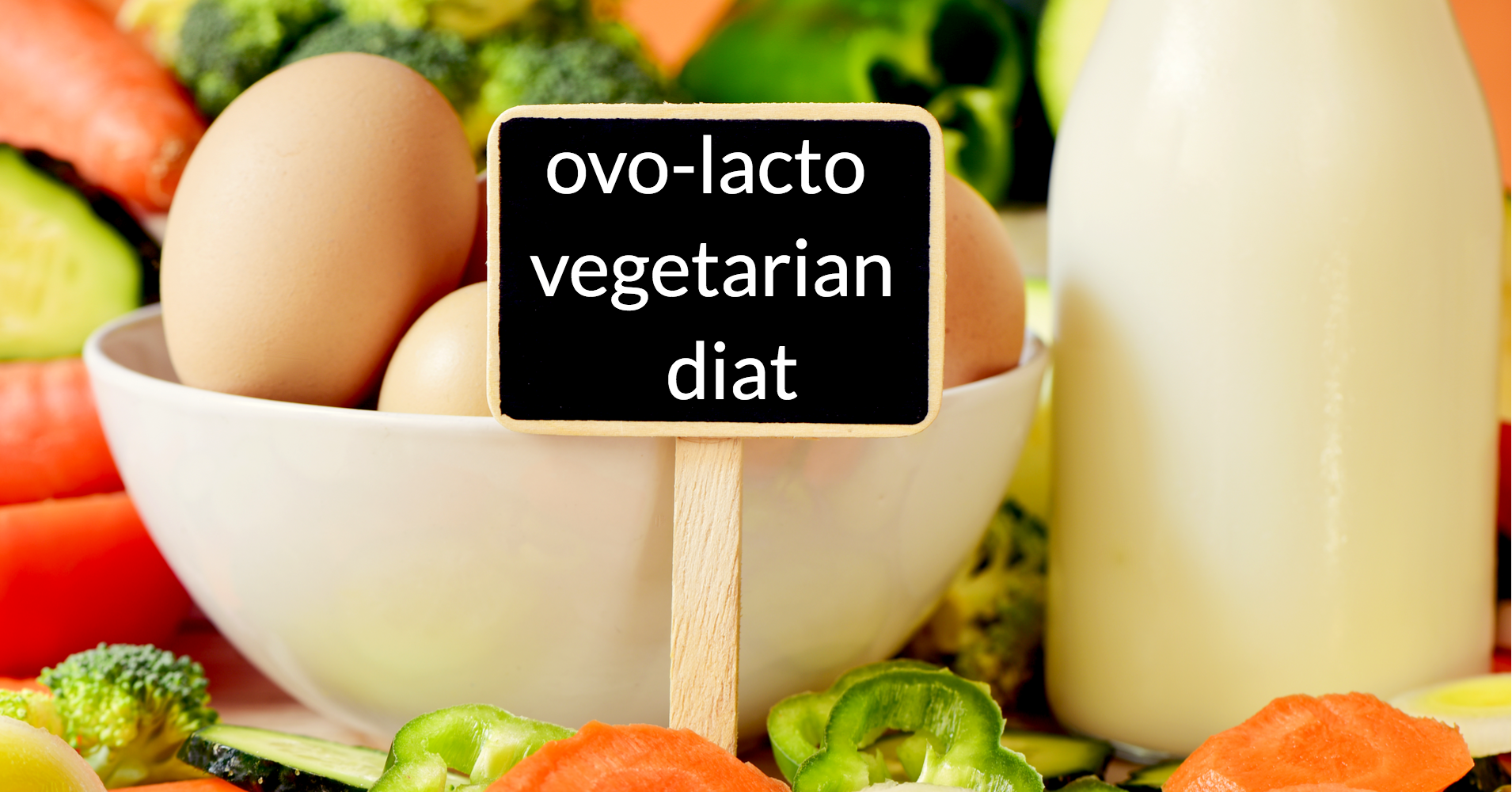 vegetarian essay questions